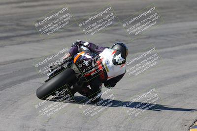 media/Feb-04-2024-SoCal Trackdays (Sun) [[91d6515b1d]]/4-Bowl Backside (11am)/